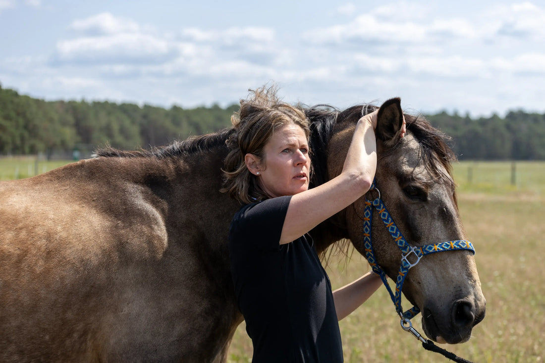TCM und Aromatherapie: Ganzheitliche Heilmethoden für Mensch und Tier